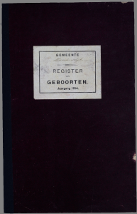 Maartensdijk 1914//