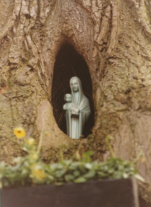 Laan ten Bomen: Mariabeeld in een boom achter boerderij nr 14