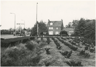 Burgemeester van Hoofflaan gezien vanaf de Dommelstraat, rechts de Provincialeweg, links de 'Dorpstraat'