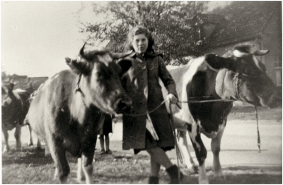 Anna ( Anneke ) Bos tussen de koeien