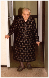 Het vieren van de 100ste verjaardag van Petronella Hubertina Stienen-Verheijen