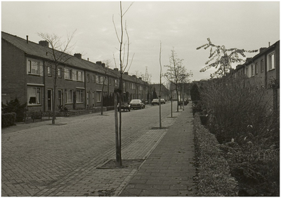Pastoor Vissersstraat, gezien vanuit de richting 'Pastoor van de Spijkerstraat' in de richting Pastoor Elsenstraat
