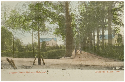 Eikendreef, gezien vanaf de Mierloseweg (links) en Kromme Steenweg (rechts) in de richting 'Wilhelminalaan'. Links met huisnummer 47 de villa van Emile Wesselman, gebouwd in 1895