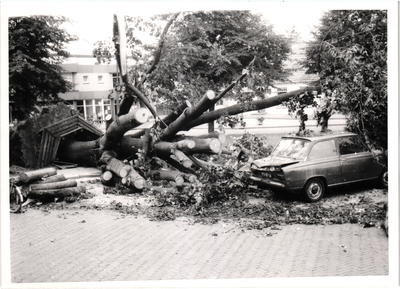 Op het Koningsplein werd een boom geveld door de storm