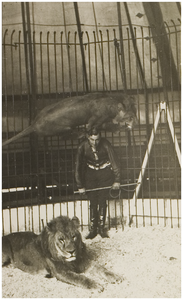 Leeuwentemmer Carel Stevens met twee leeuwen in een kooi