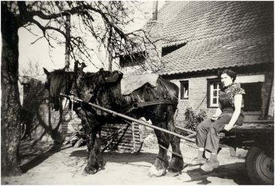 Anna ( Anneke ) Bos zittend op paard en wagen