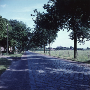 Serie van 6 glaspositieven betreffende de weg van Oerle richting Wintelre of vice versa: Oude Kerkstraat - Biemeren
