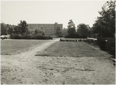 Plantsoen aan de Vincent van Goghlaan met zicht op de 3e Jagershof. Rechts het pad naar de 'Johannes Bosboomstraat'. Rechts achter flat aan de 5e Jagershof