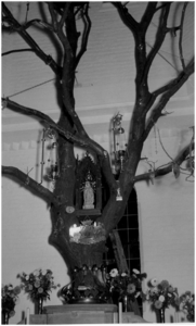 De versierde boom van O.L. Vrouw ter Eik in de oude St. Lambertuskerk (O.L. Vrouw ter Eik)