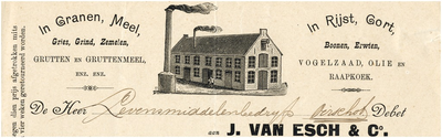 Een briefhoofd van J. van Esch & Co, handelaar in onder andere granen, zaden en olie